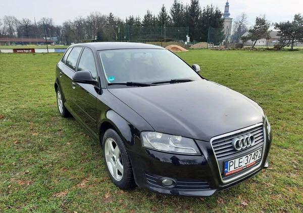 Audi A3 cena 25700 przebieg: 204800, rok produkcji 2009 z Tychy małe 37